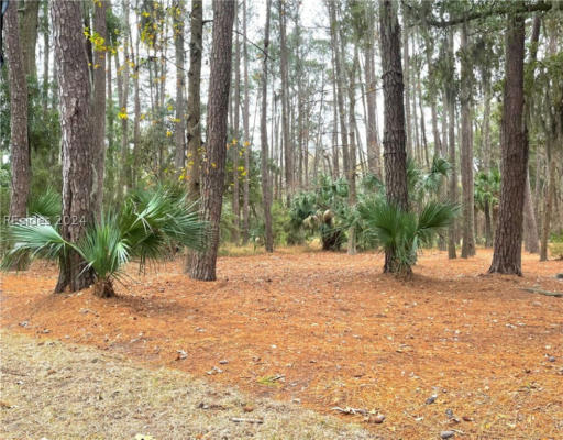 15 RIVER MARSH RUN, DAUFUSKIE ISLAND, SC 29915, photo 2 of 20